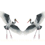 SaddleBill Tours & Safaris